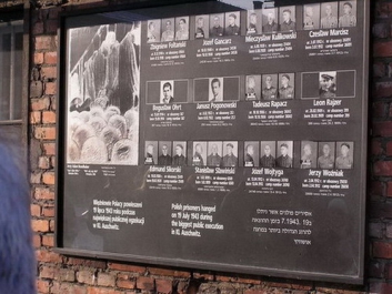 Auschwitz_64