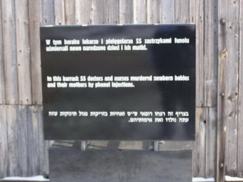 Auschwitz_45