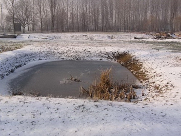 Auschwitz_23
