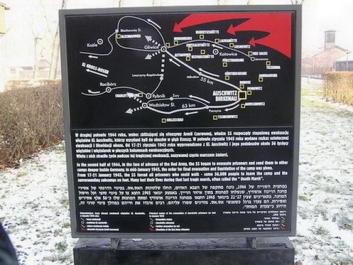 Auschwitz_48