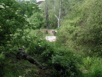 Paintball_2004_88
