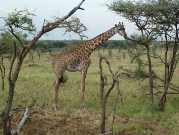 Afrika_061