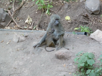 Afrika_010