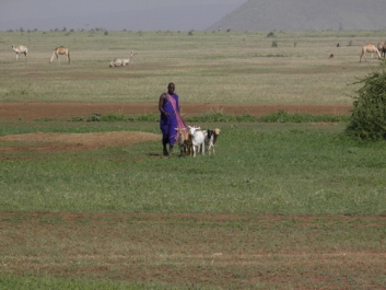 Afrika_272