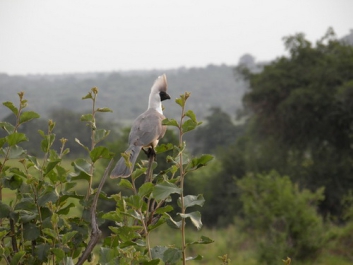 Afrika_347