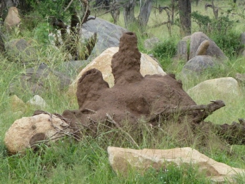 Afrika_238