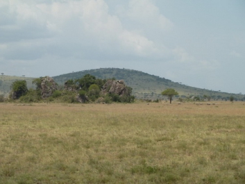 Afrika_222