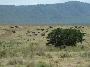 Afrika_169
