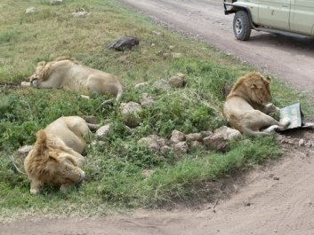 Afrika_038