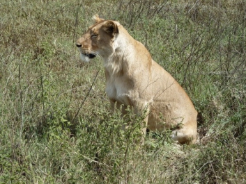 Afrika_040