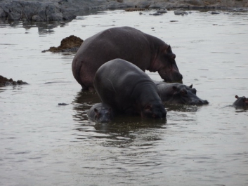 Afrika_060