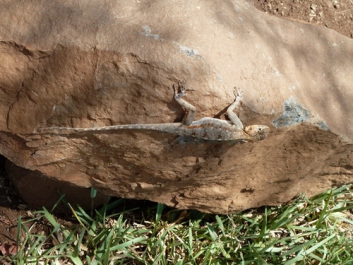 Afrika_143