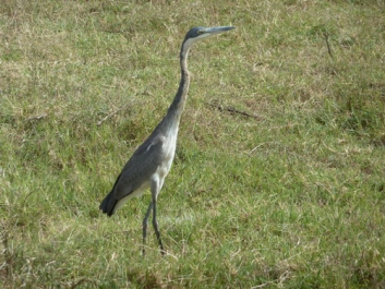 Afrika_041