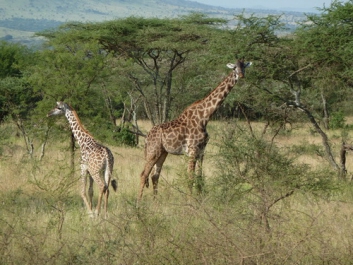 Afrika_214