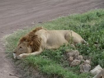 Afrika_175
