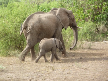Afrika_014