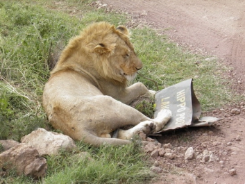 Afrika_293