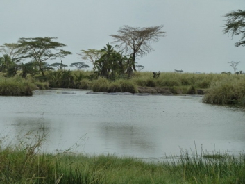 Afrika_227