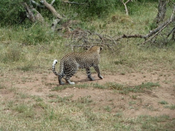 Afrika_197