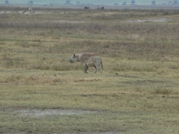 Afrika_179