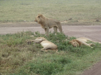 Afrika_045