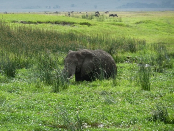 Afrika_178