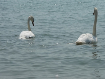 Italien_2009_19